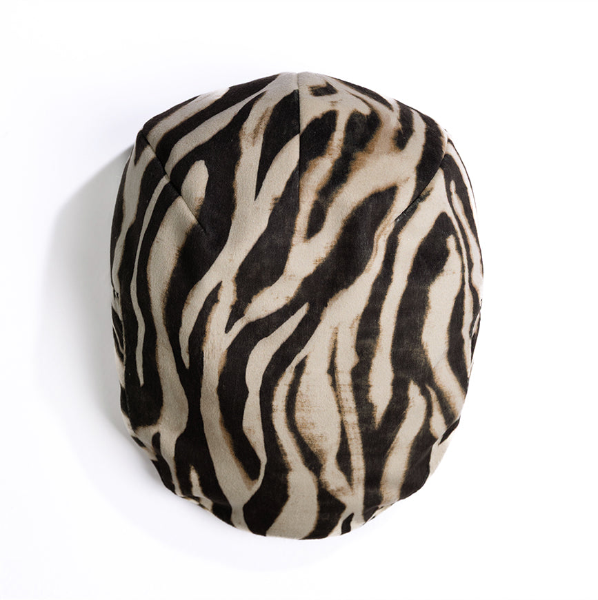 The Zebra